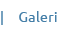 Galeri